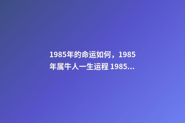 1985年的命运如何，1985年属牛人一生运程 1985年属牛人一生运势1985年出生的属牛人一生的运势如何-第1张-观点-玄机派
